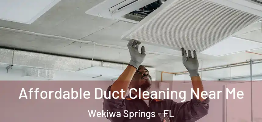  Affordable Duct Cleaning Near Me Wekiwa Springs - FL