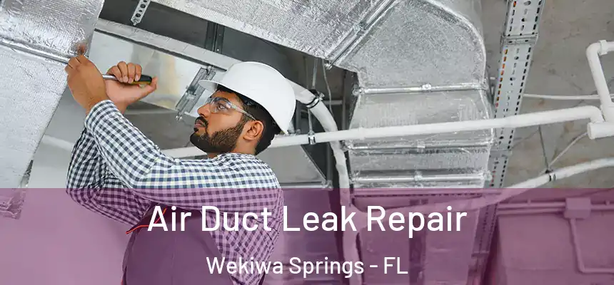  Air Duct Leak Repair Wekiwa Springs - FL