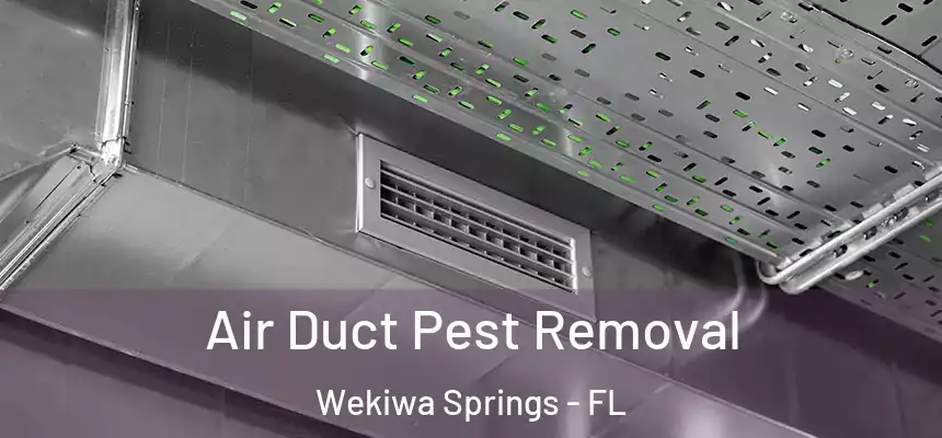  Air Duct Pest Removal Wekiwa Springs - FL