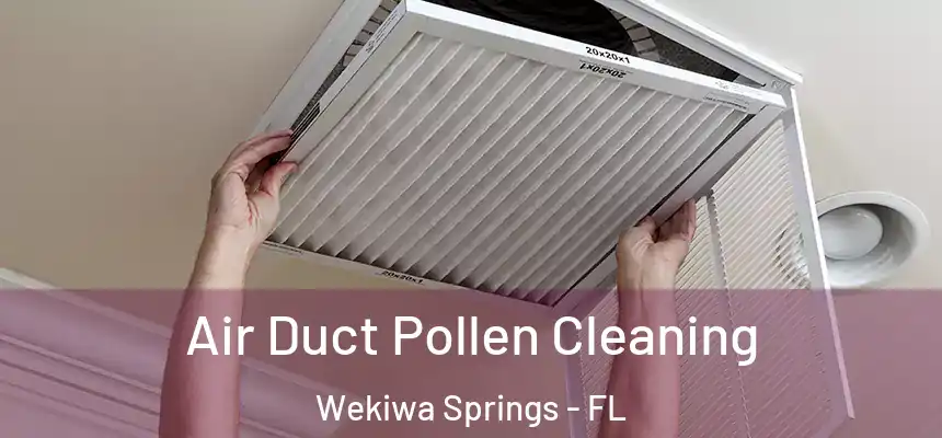  Air Duct Pollen Cleaning Wekiwa Springs - FL