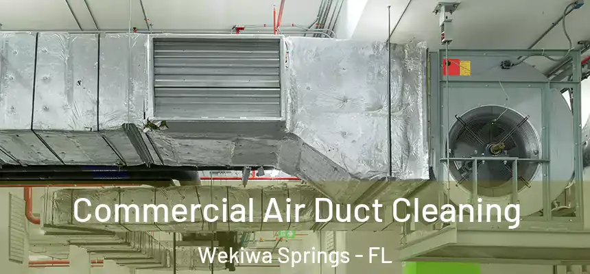 Commercial Air Duct Cleaning Wekiwa Springs - FL