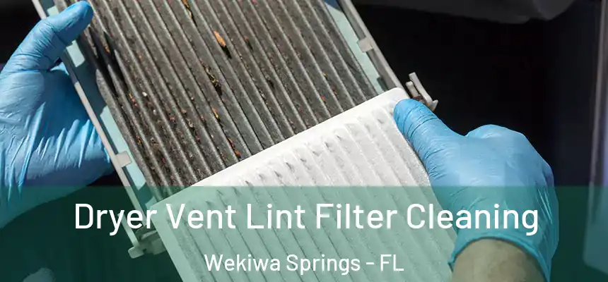  Dryer Vent Lint Filter Cleaning Wekiwa Springs - FL