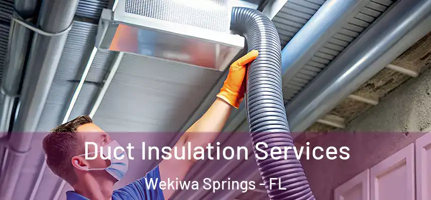 Duct Insulation Services Wekiwa Springs - FL