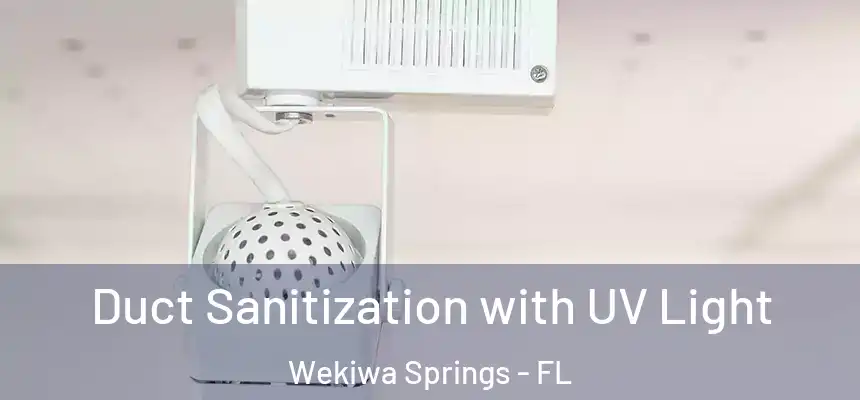  Duct Sanitization with UV Light Wekiwa Springs - FL