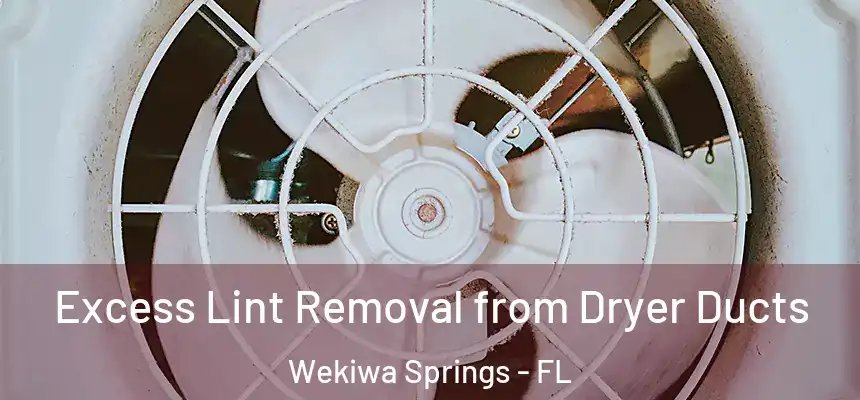  Excess Lint Removal from Dryer Ducts Wekiwa Springs - FL
