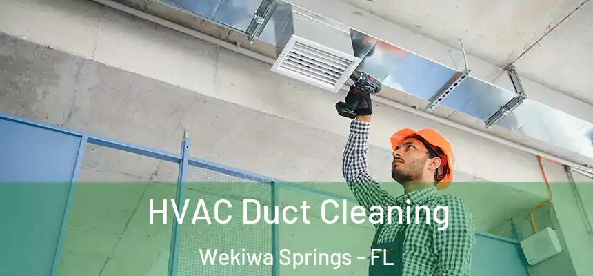  HVAC Duct Cleaning Wekiwa Springs - FL