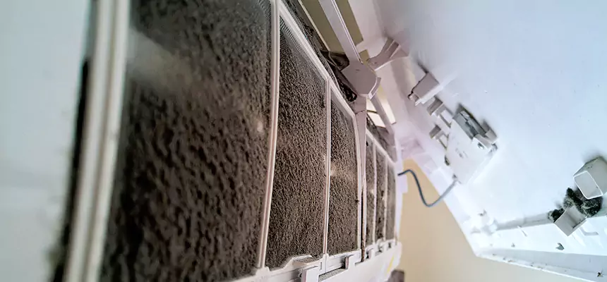 Preventive Air Duct Bacteria Removal in Wekiwa Springs