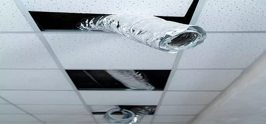 Our Air Duct Pet Hair Removal Services in Wekiwa Springs, FL