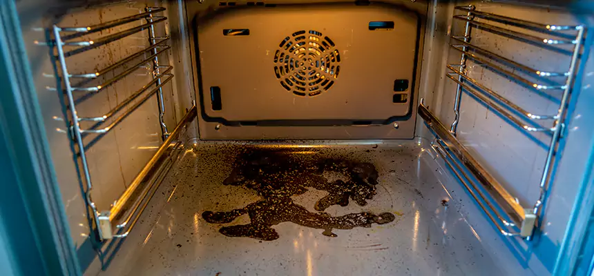 Our Dryer Vent Mold Cleaning Services in Wekiwa Springs, FL