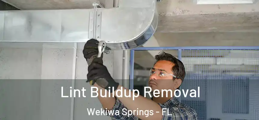  Lint Buildup Removal Wekiwa Springs - FL