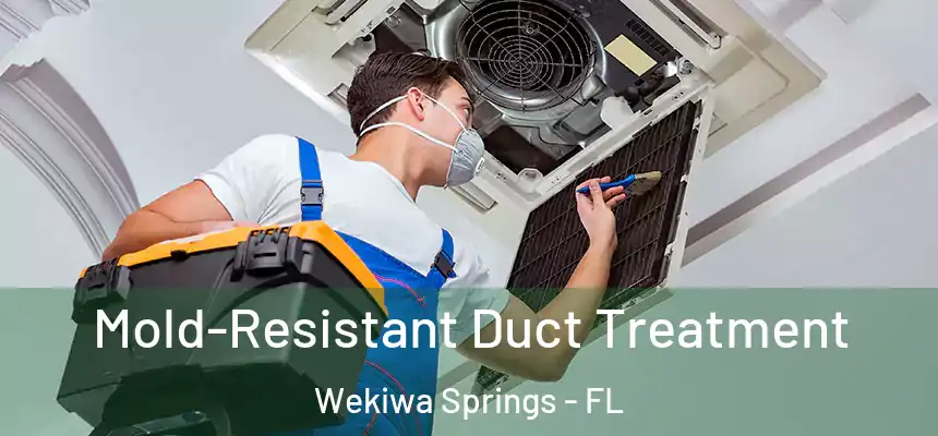  Mold-Resistant Duct Treatment Wekiwa Springs - FL