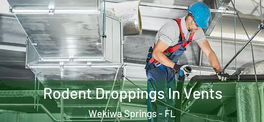 Rodent Droppings In Vents Wekiwa Springs - FL
