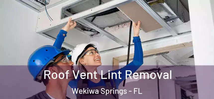 Roof Vent Lint Removal Wekiwa Springs - FL