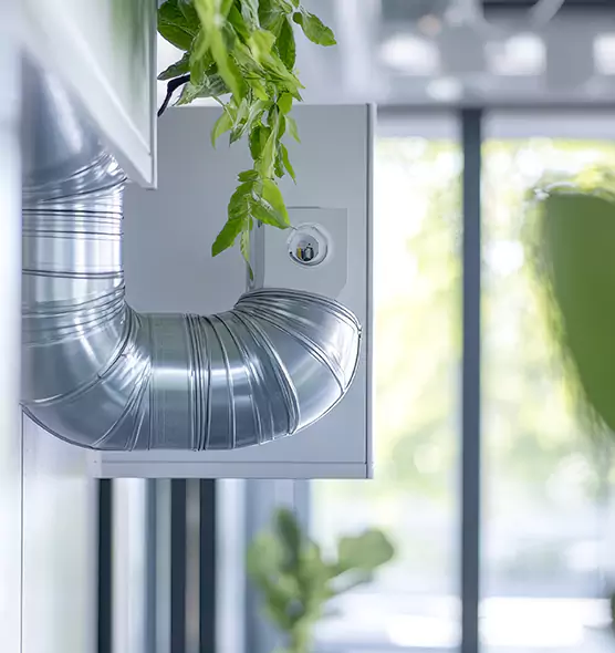 Professional Eco-Safe Dryer Vent Cleaning in Wekiwa Springs, FL