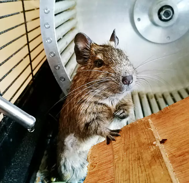 Why Homeowners & Businesses Trust Us Wekiwa Springs, FL?