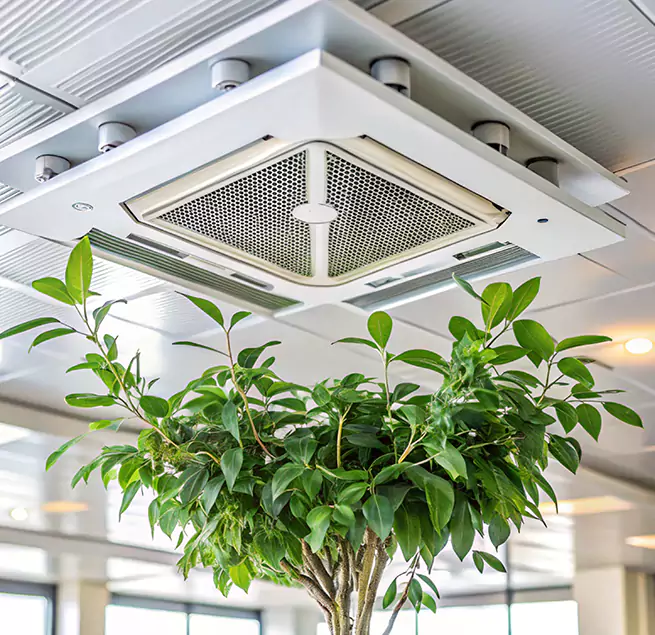 Why Homeowners & Businesses Trust Us in Wekiwa Springs, FL