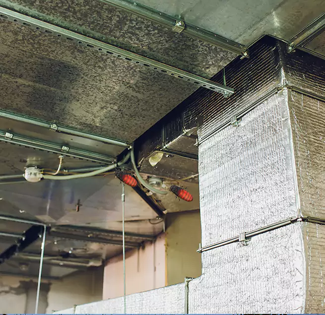 Why Homeowners & Businesses Trust Us Wekiwa Springs, FL?