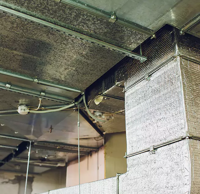 Why Homeowners & Businesses Trust Us in Wekiwa Springs, FL?