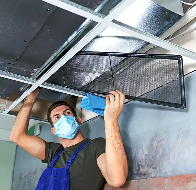 Why Homeowners Businesses Trust Us in Wekiwa Springs, FL