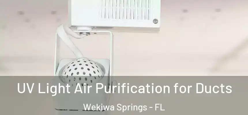  UV Light Air Purification for Ducts Wekiwa Springs - FL