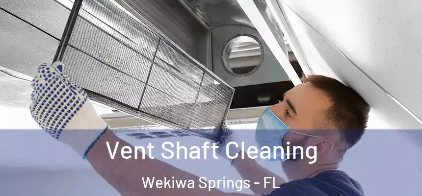  Vent Shaft Cleaning Wekiwa Springs - FL