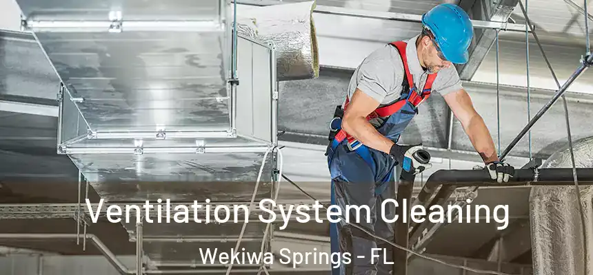  Ventilation System Cleaning Wekiwa Springs - FL